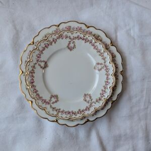 Theodore Haviland Limoges Porcelain Pink Floral Gold Detail - 2 Nesting Plates